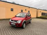 Fiat Fist Panda Cross 4x4 Multijet - Fiat Panda Gebrauchtwagen in Wuppertal
