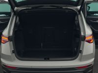 Skoda Karoq - Vorschau Bild 15