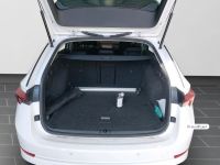 Skoda Octavia - Vorschau Bild 6