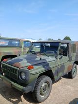 Mercedes-Benz Mercedes G Klasse G250 Wolf - Mercedes-Benz G 250: Wolf