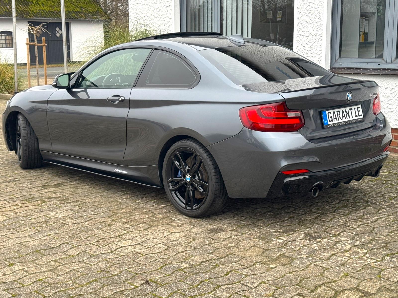 BMW M235i Coupé M-Performance Kamera