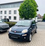 Fiat Panda Lounge - Fiat Panda: Blau