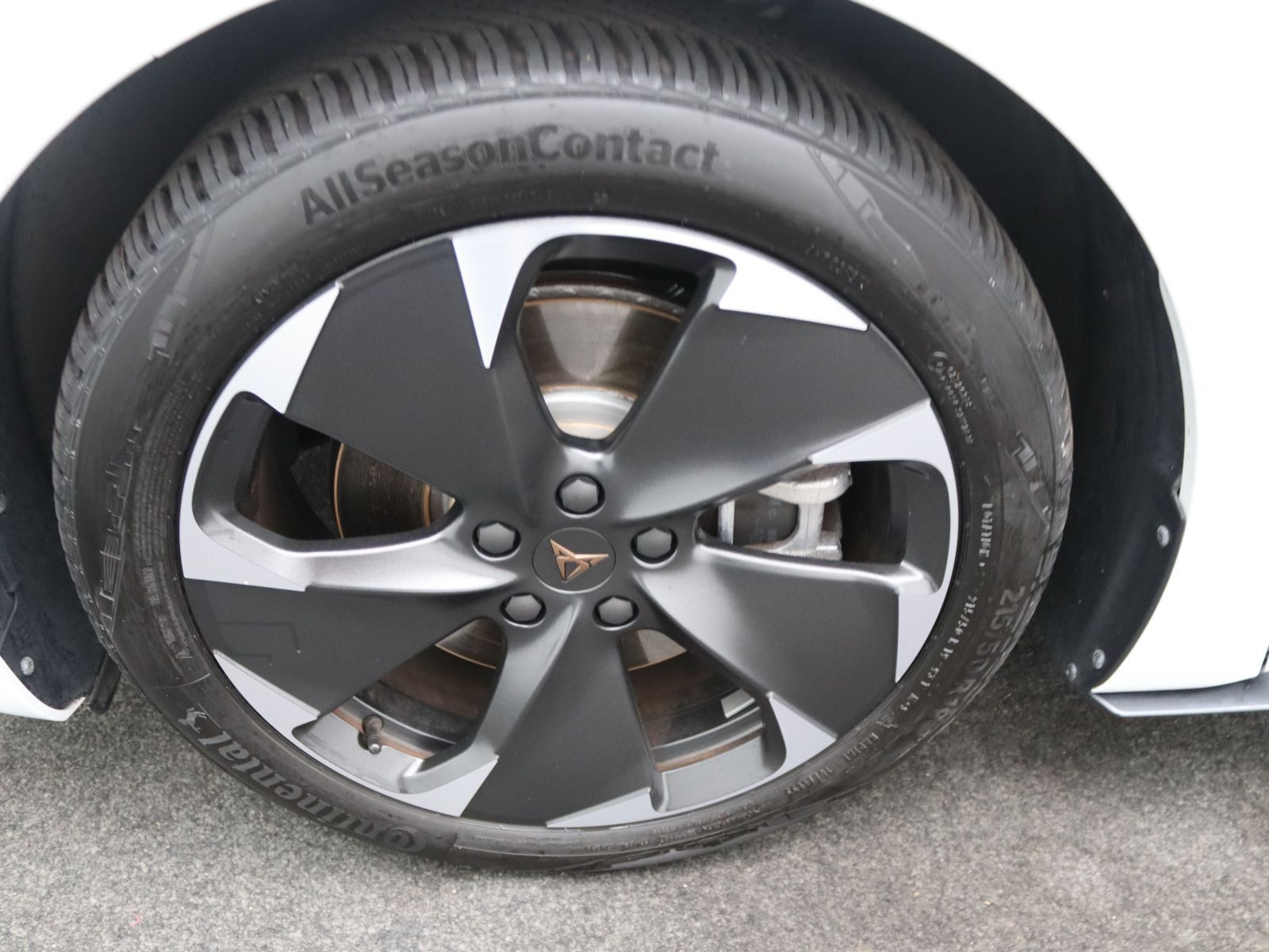 Cupra Born - Bild 18