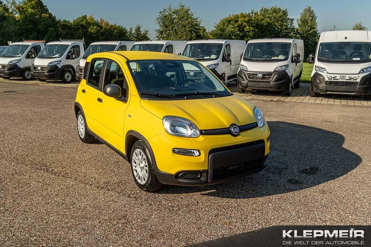Fiat Panda Panda Hybrid 1.0 GSE 51kw (70PS)