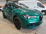 Alfa Romeo Stelvio Quadrifoglio Q4 Leder ACC 21" Panoramada - Alfa Romeo: Grün