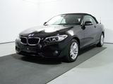 BMW 220d Advantage NAVI PROF+PDC+SHZ+TEMP+BI-XEN - BMW 220 in Hamburg