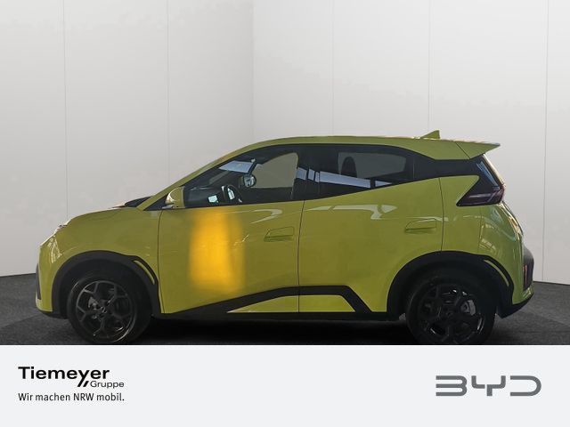BYD DOLPHIN SURF
