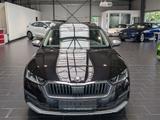 Skoda Octavia Combi 2.0 TDI DSG 4x4 Scout 8-fach PDC - mit Diesel-Antrieb: Beheizbares Lenkrad