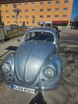 Volkswagen Käfer - gebrauchte Volkswagen Käfer aus dem Jahr 1965