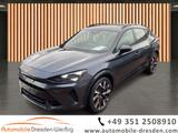 Cupra Formentor VZ 2.0 TSI DSG 4Drive*Matrix*Pano*