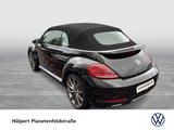 Volkswagen Beetle Cabrio 1.4 SOUND LEDER LM18 NAVI - Volkswagen Gebrauchtwagen in Hagen