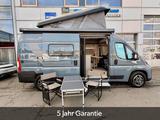 Fiat Redwood 601*Lithium*Markise*Aufstelldach*AKTION* - Fiat Neu Kastenwagen