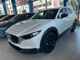 Mazda CX-30 Homura Automatik - Mazda CX-30 in Stuttgart