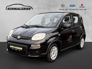 Bild Panda Fiat