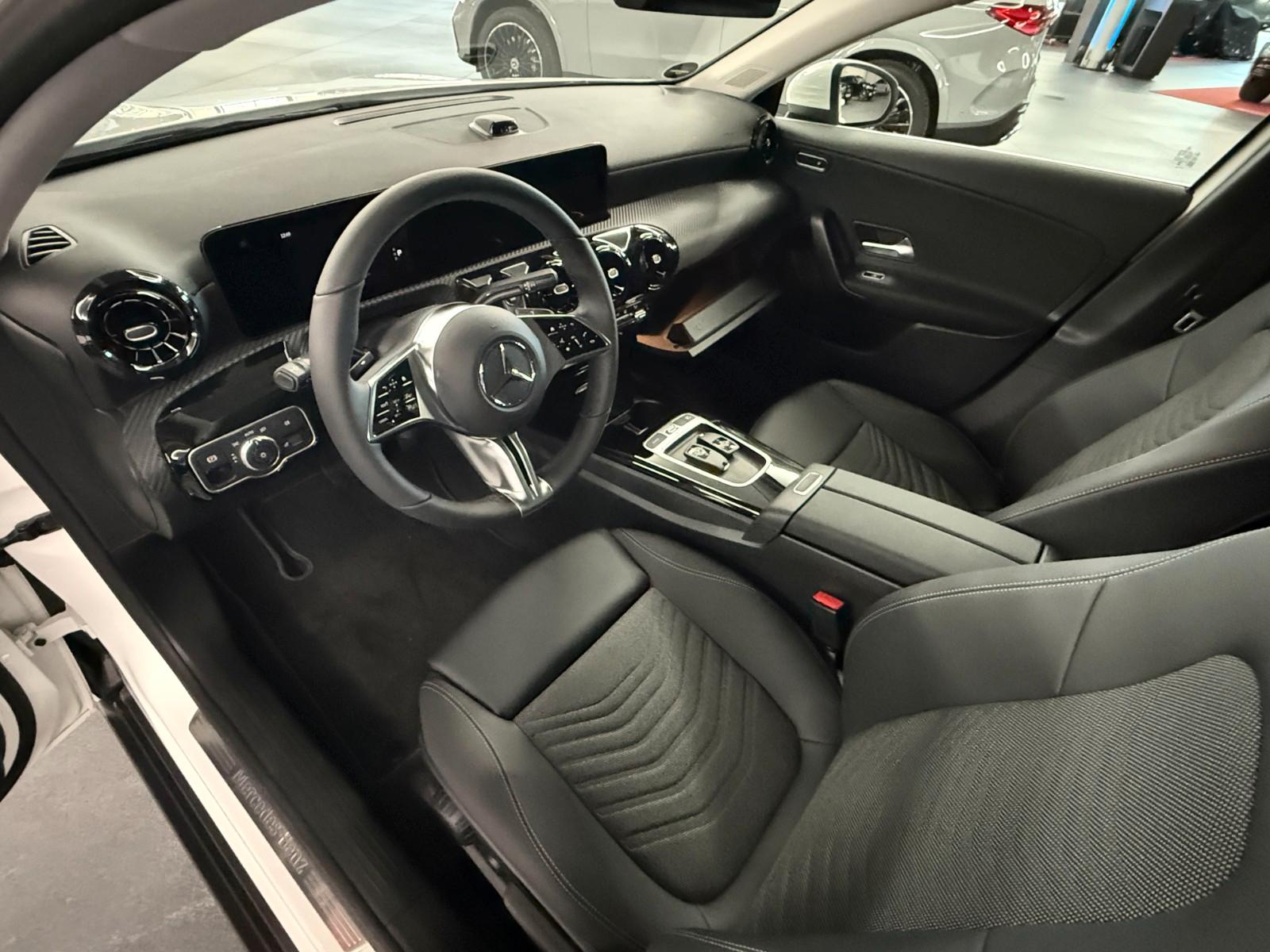 Mercedes-Benz A 250e + Park Paket + Spiegel Paket