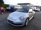 Volkswagen Beetle Cabrio Leder, Klima, DSG - Volkswagen Beetle Gebrauchtwagen