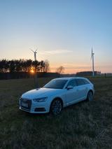 Audi A4 B9 Ultra 2.0 TFSI S tronic - Audi A4: B9