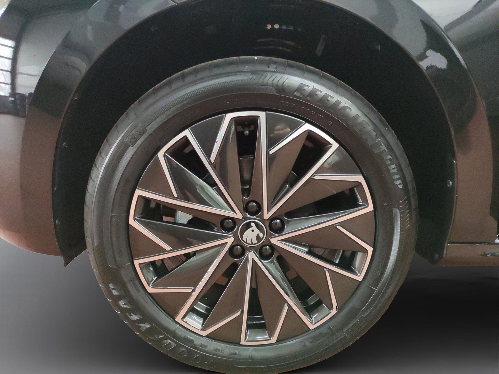 Skoda Kamiq - Bild 5