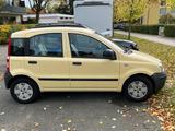 Fiat Panda - Fiat Panda: Gelb