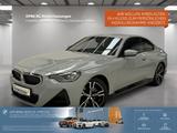 BMW 220d Coupé M Sport Navi AHK Kamera Driv.Assist - BMW 220 in Frankfurt (Main)