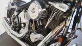 Harley-Davidson FXST, Softail Custom - Offers