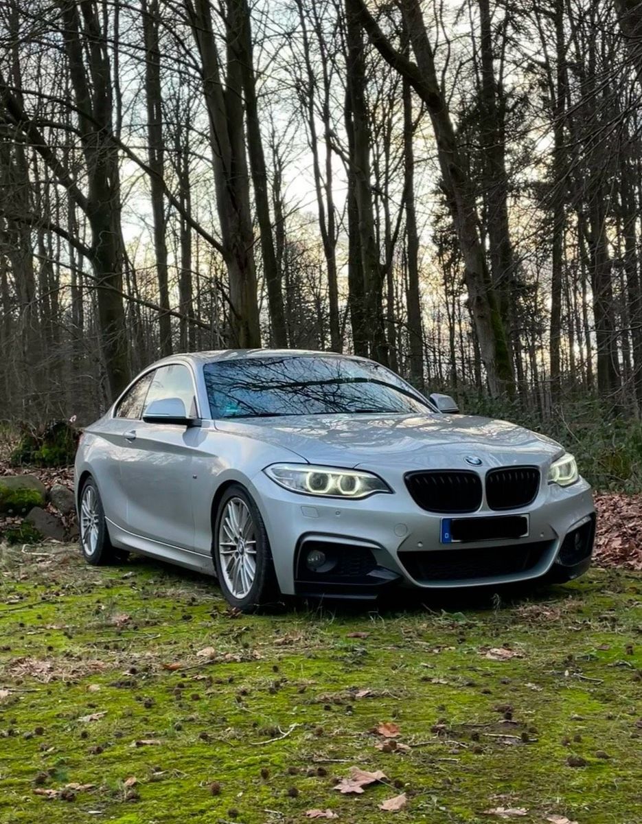 BMW BMW 218d Coupé (F22) M-Paket Optik