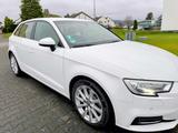 Audi A3 Quattro 190Ps 2.0 Benzin - Audi A3: 19