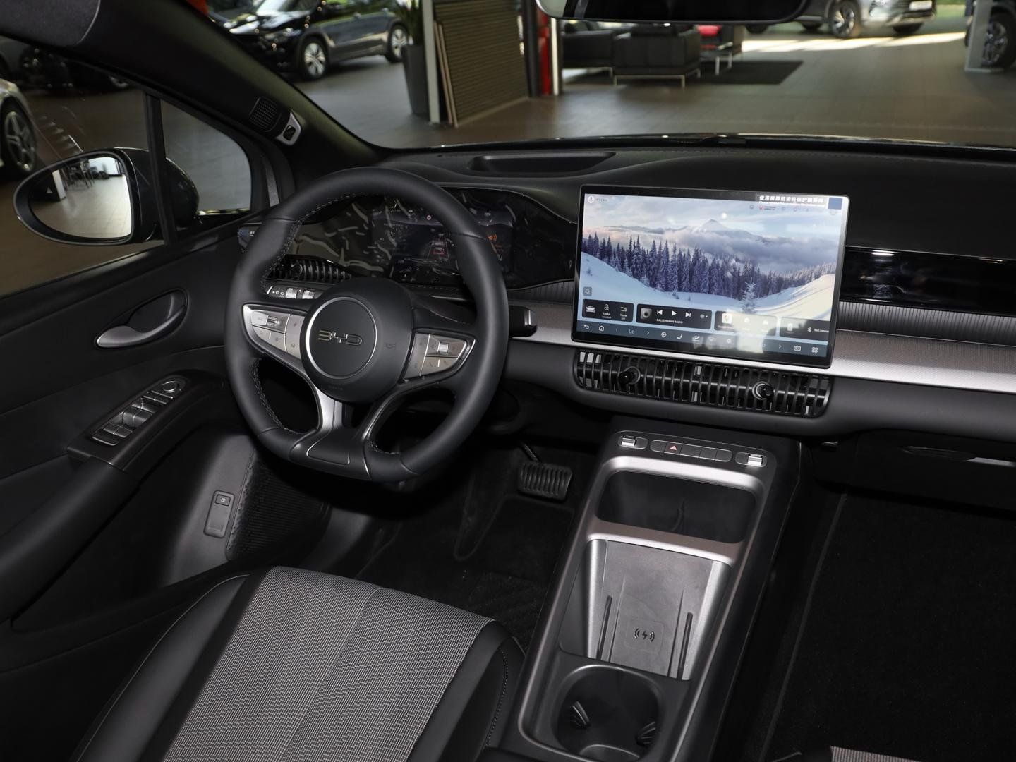 BYD DOLPHIN