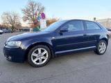 Audi A3 1.6 Ambition - Audi A3: 1.6