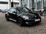 Volkswagen Beetle Lim. Cup - Volkswagen Beetle: Leder