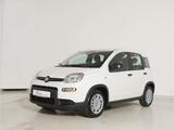 Fiat Panda 1.0 GSE Hybrid - Fiat Panda in Leipzig