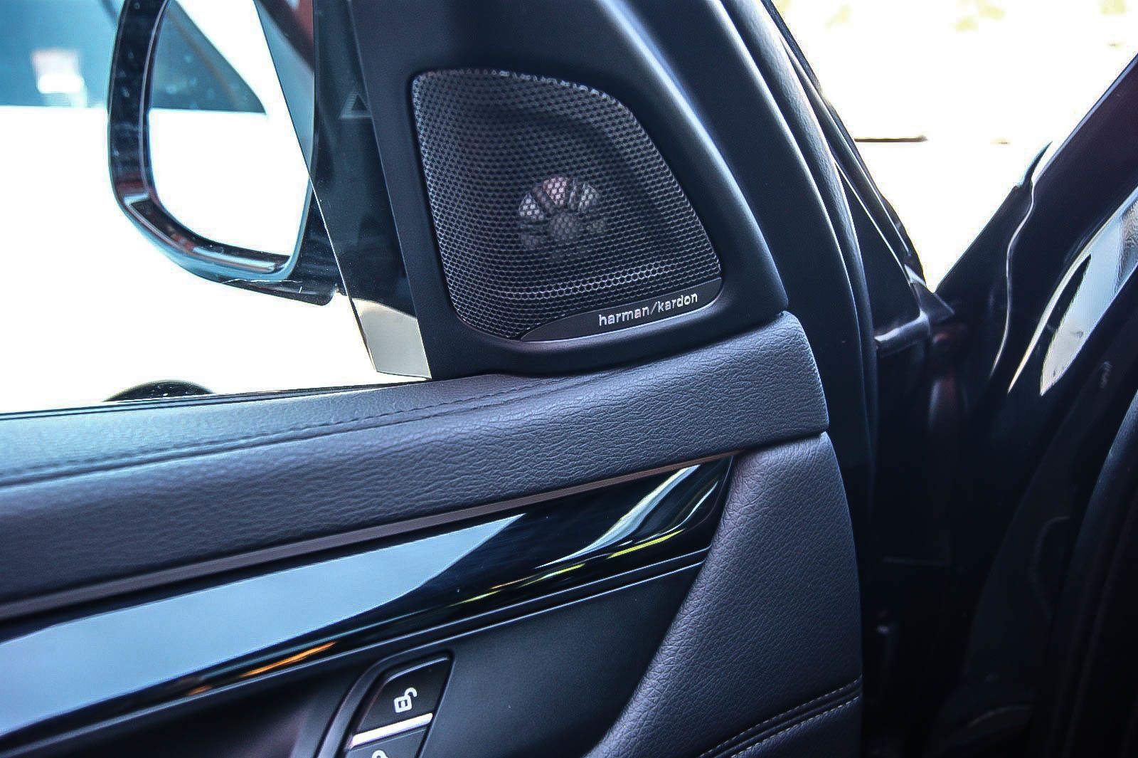 Fahrzeugabbildung BMW X6 M50 M-SPORT 22'' BREYTON ESSD KAMERA STDHZG 2