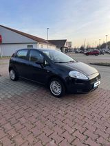 Fiat Punto - Fiat Grande Punto in Gelsenkirchen