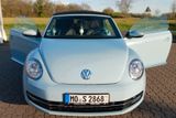 Volkswagen New Beetle, Cabriolet, pastellblau, Kultauto - Volkswagen New Beetle mit Benzin-Antrieb: Cabrio