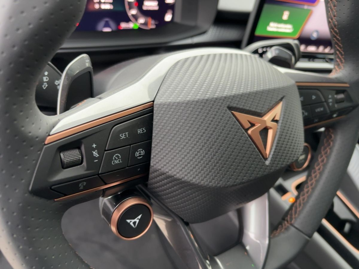 Cupra Terramar - Bild 13