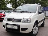 Fiat Panda 1.2 8V Climbing 4X4 Allrad Klima-TÜV - Fiat Panda: Allradantrieb, Climbing