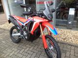 Honda CRF 300 Rally 1 km,MJ24 Tageszulassung - Offers