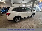 Subaru Forester Platinum - Subaru Forester Gebrauchtwagen