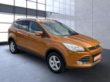 Ford Kuga Sync Edition - Ford Kuga Sync Gebrauchtwagen