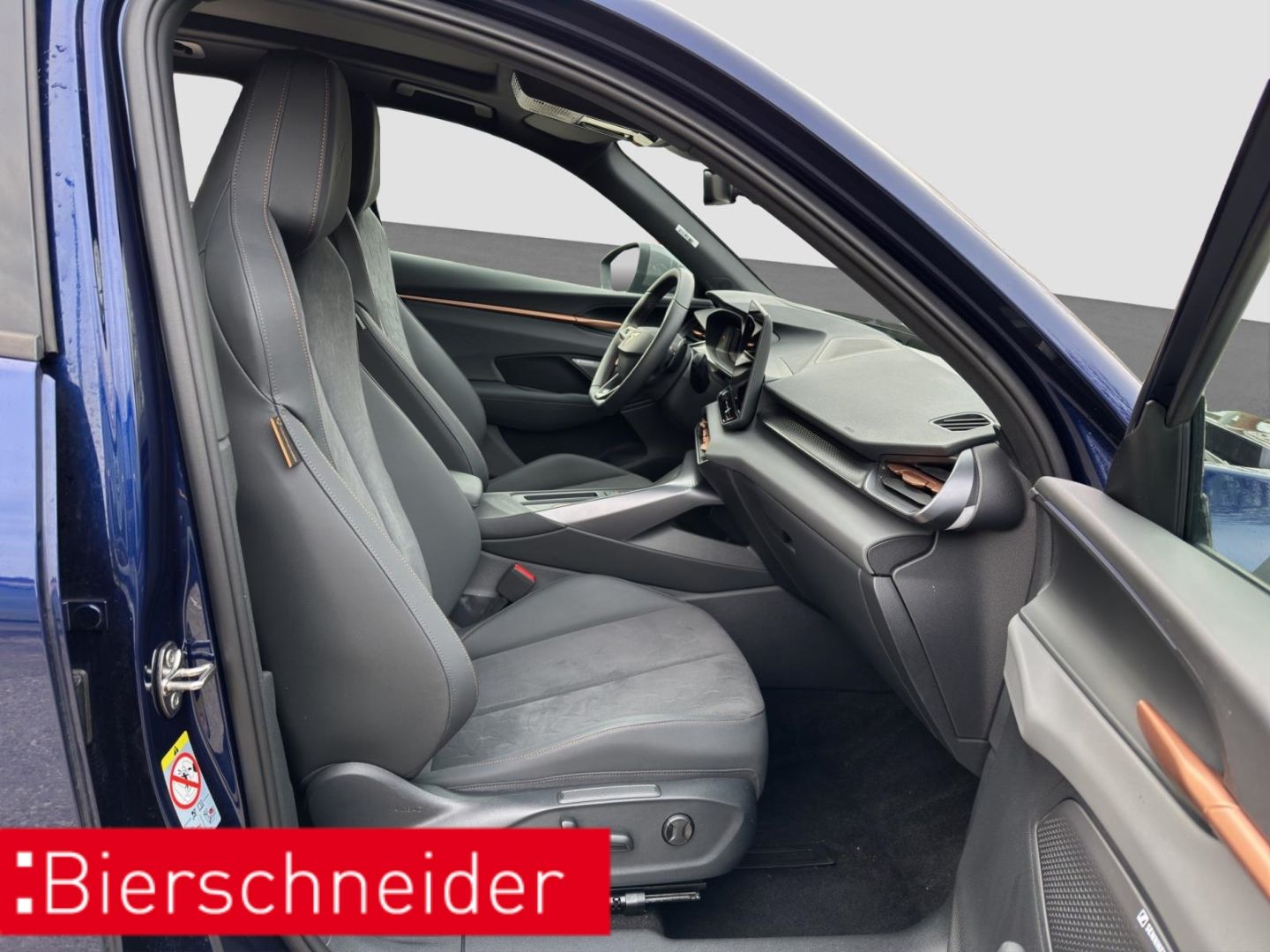 Cupra Terramar - Bild 16