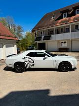 Dodge Challenger 6.4 Scat Pack Shaker Widebody - weiße Dodge Challenger
