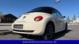 Volkswagen New Beetle Cabriolet 1.8 Turbo - Volkswagen New Beetle: Beige