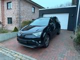Toyota RAV 4 2,5-l-Hybrid Team D wenig Kilometer 47T - Toyota RAV 4 in Kiel