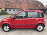 Fiat Panda - Fiat Panda Gebrauchtwagen in Braunschweig