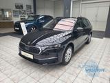 Skoda Octavia Combi 2.0 TDI Selection RFK ACC LANE - Skoda Octavia Tageszulassungen mit Diesel-Antrieb: Kombi