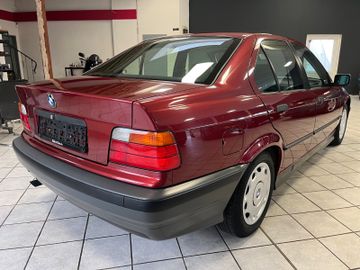 BMW 316 - 6