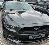 Ford Mustang 5.0 Ti-VCT V8 GT Auto GT - Ford: Standheizung