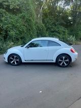 Volkswagen VW Beetle 1.4 TSI 160 PS | Xenon | TÜV 05/28 - Volkswagen Beetle in Bonn