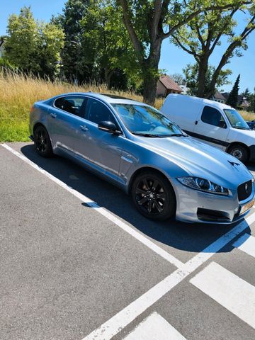 Jaguar XF 3 0 D 275 PS