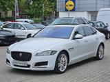 Jaguar XF AWD Automatik - Jaguar XF: Limousine